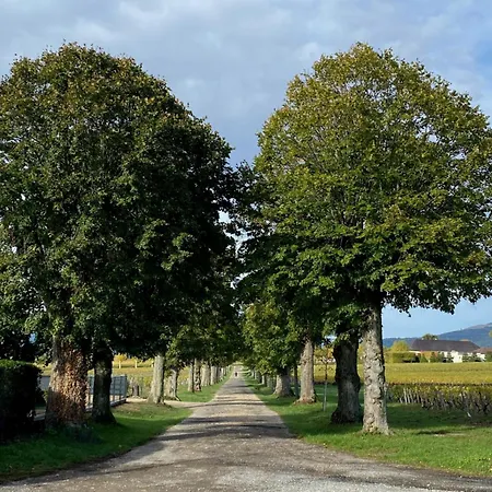 Domaine De La Noiseraie Holiday home *
